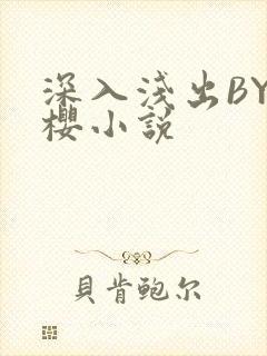 深入浅出BY胖樱小说
