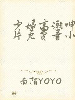 少妇高潮呻吟A片免费看小说