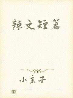 辣文短篇