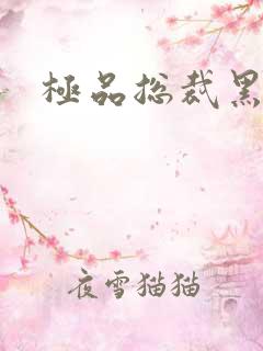 极品总裁黑道妻