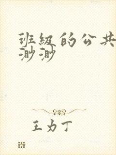 班级的公共玩具渺渺