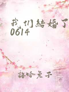 我们结婚了130614