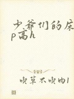 少爷们的床奴np高h