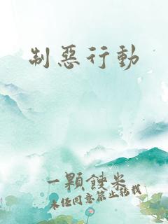 制恶行动