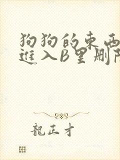 狗狗的东西直接进入B里删除