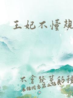 王妃不懂规矩