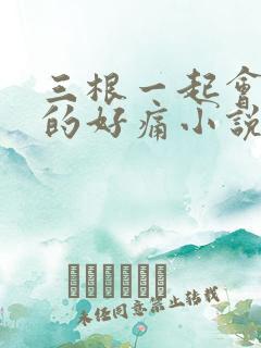 三根一起会坏掉的好痛小说