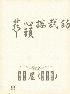 花心总裁的小小丫头