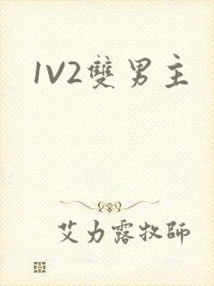 1V2双男主