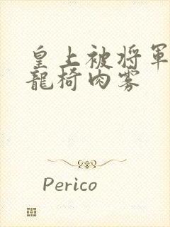 皇上被将军压到龙椅肉雾
