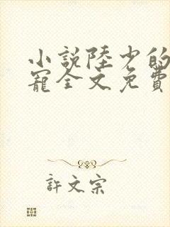 小说陆少的心尖宠全文免费阅读