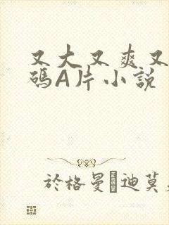 又大又爽又黄无码A片小说