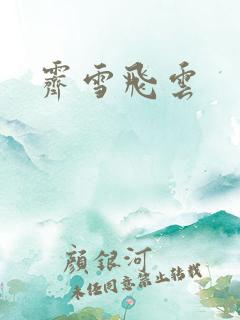 霁雪飞云