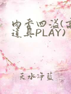 肉香四溢(高H道具PLAY)
