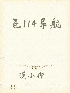 色114导航