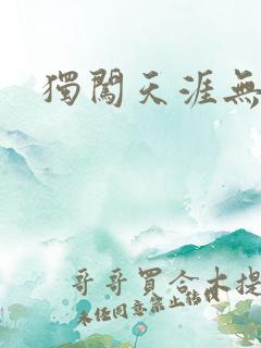 独闯天涯无弹窗