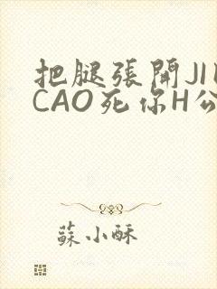 把腿张开JI巴CAO死你H公园