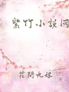紫竹小说网