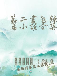 第二书包辣网短篇小说合集