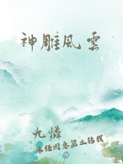 神雕风云