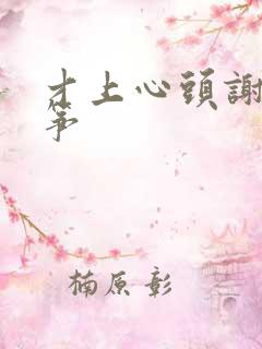 才上心头谢柳陆筝