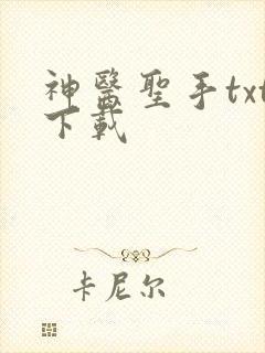 神医圣手txt下载
