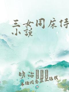 三女同床侍一夫小说