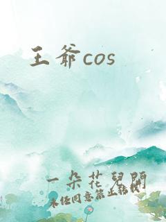 王爷cos