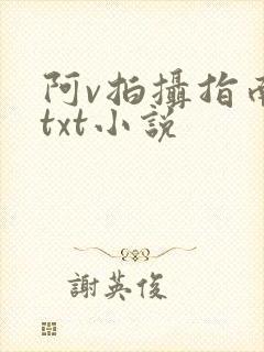 阿v拍摄指南说txt小说