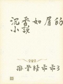 沉香如屑的原著小说