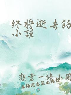 终将逝去的青春小说