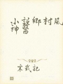 小说乡村风流小神医