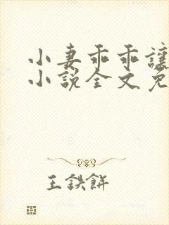 小妻乖乖让我宠小说全文免费阅读