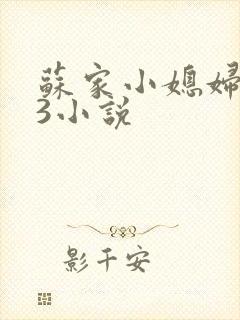 苏家小媳妇1V3小说