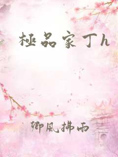 极品家丁h