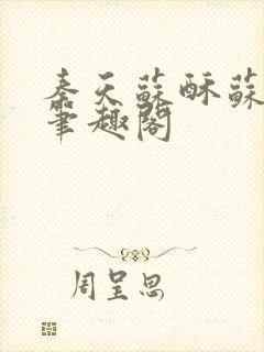 秦天苏酥苏小说笔趣阁