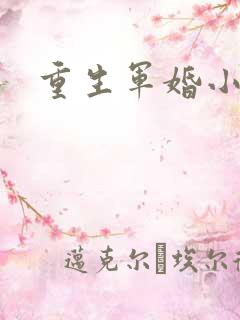 重生军婚小媳妇