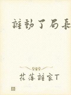 谁动了局长夫人