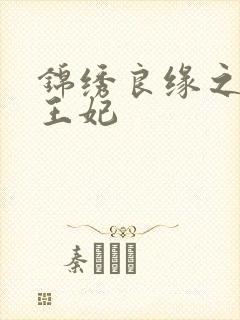 锦绣良缘之北地王妃