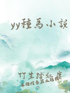 yy种马小说网