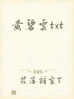 黄碧云txt