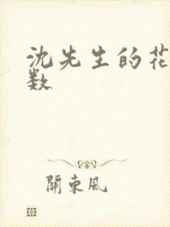 沈先生的花式调数