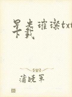 星光璀璨txt下载