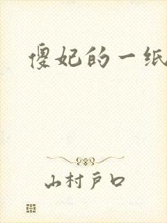 傻妃的一纸休书