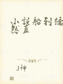 小说船到桥头自然直