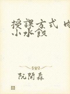 授课方式 肉馅小水饺