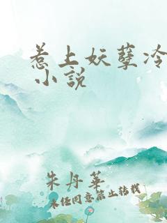 惹上妖孽冷殿下 小说