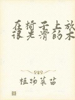 在椅子上放一根很光滑的木棍