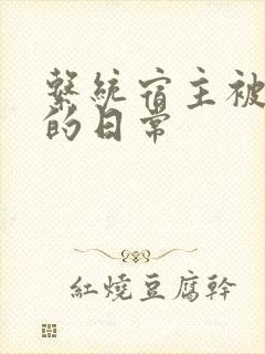 系统宿主被灌满的日常