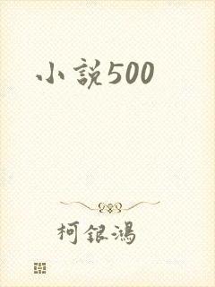 小说500